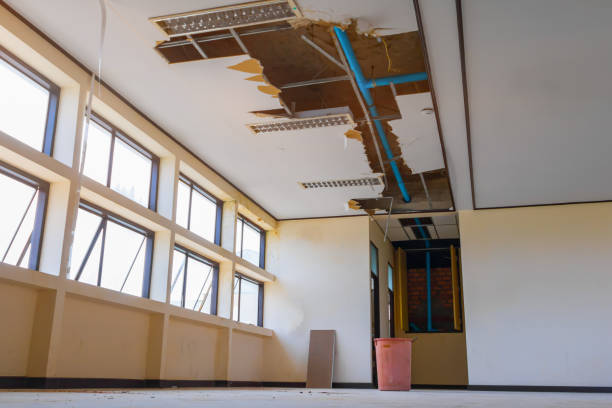 Best Water damage restoration near me  in Amelia, OH