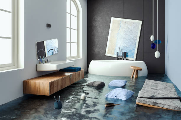 Best Water damage cleanup near me  in Amelia, OH