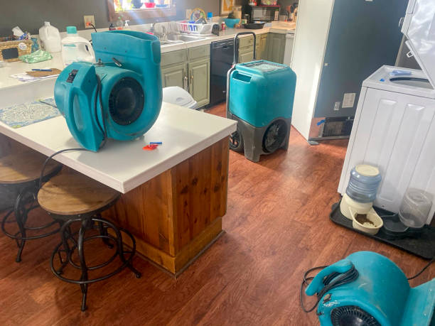Best Residential water damage restoration  in Amelia, OH