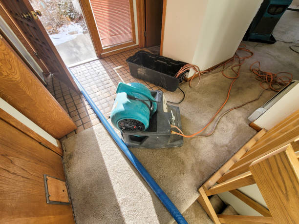 Best Flood damage cleanup  in Amelia, OH