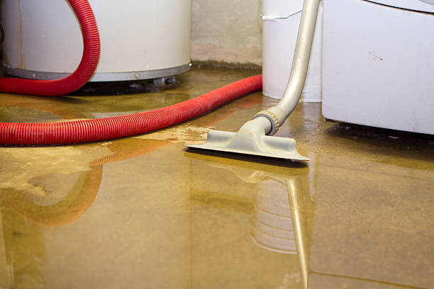 Best Residential water damage restoration  in Amelia, OH