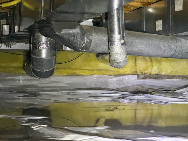 Best Mold removal after water damage  in Amelia, OH
