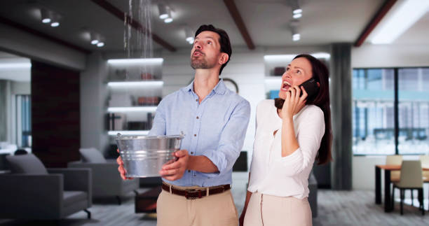 Best Fire Damage Restoration  in Amelia, OH